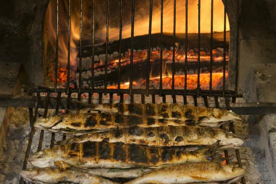 agriturismo ittico "al pescatore"