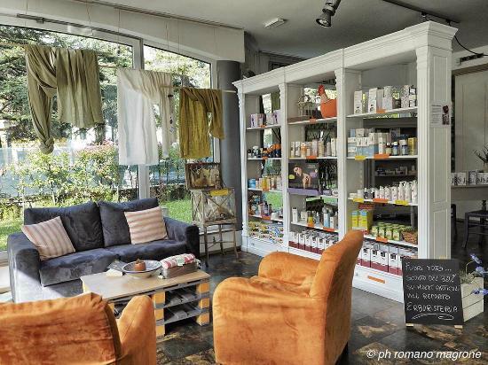 Le Arti di Artemisia