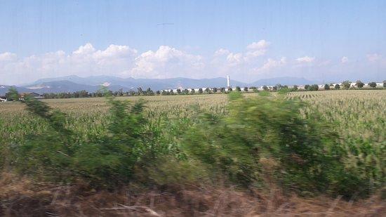 Bar Stazione Snc di Scarpa Melania e C