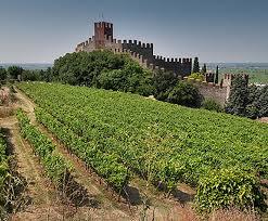 Weingut Guerrieri Rizzardi