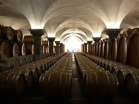 Weingut und Weinmusem Cantina F.lli Zeni
