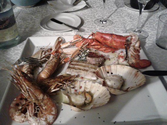 tenuta cipressi e olivi